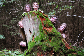 Knaat beim fröhlichen Posieren im Wald (2012).