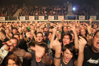 Bild 6 | Black Spiders am 7. November 2013 in Linz. Fotografie: Christian Hehs