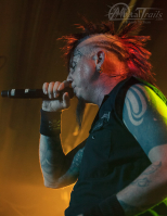 Bild 24 | Hellyeah am 28. Juni 2013 in Aschaffenburg. Fotografie: Khanh To Tuan