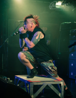 Bild 30 | Hellyeah am 28. Juni 2013 in Aschaffenburg. Fotografie: Khanh To Tuan