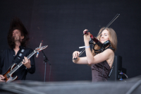 Bild 7 | Molllust am 10. August 2013 in Hildesheim. Fotografie: Khanh To Tuan
