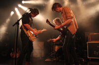Bild 20 | The Tangerine Turnpike am 22. Februar 2014 in Linz. Fotografie: Christian Hehs