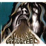 Album-Cover von Shaking Godspeeds „Hoera“ (2013).